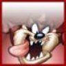 Mr Yool