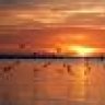 e21