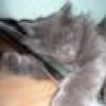 emiliaw