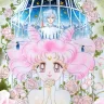 chibi.usa