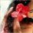 Lorein