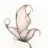 LucidPapillon